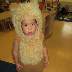 Vintage Lion Halloween costume. Pottery Barn. Size 2T-3T.